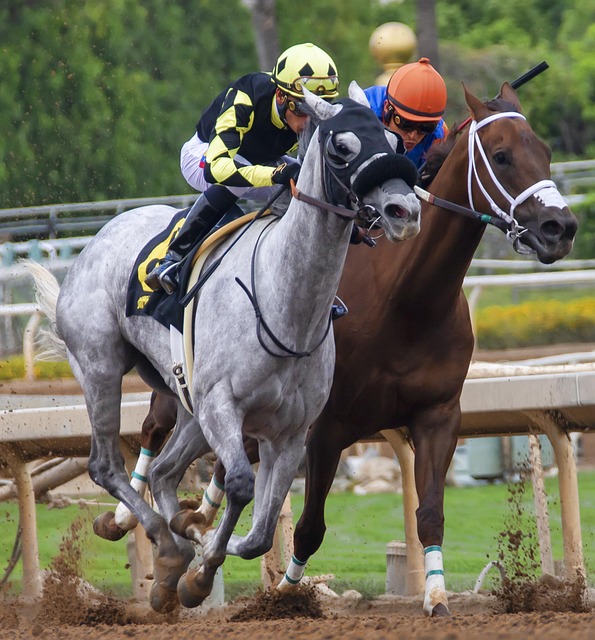 而备受关注 而备受关注