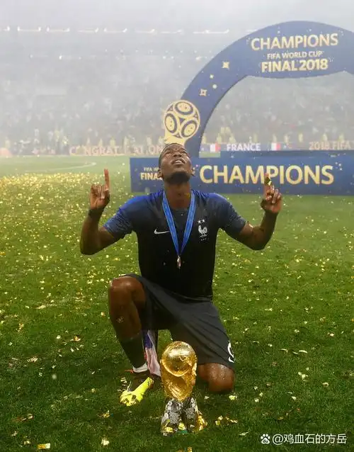 外交手段 外交手段